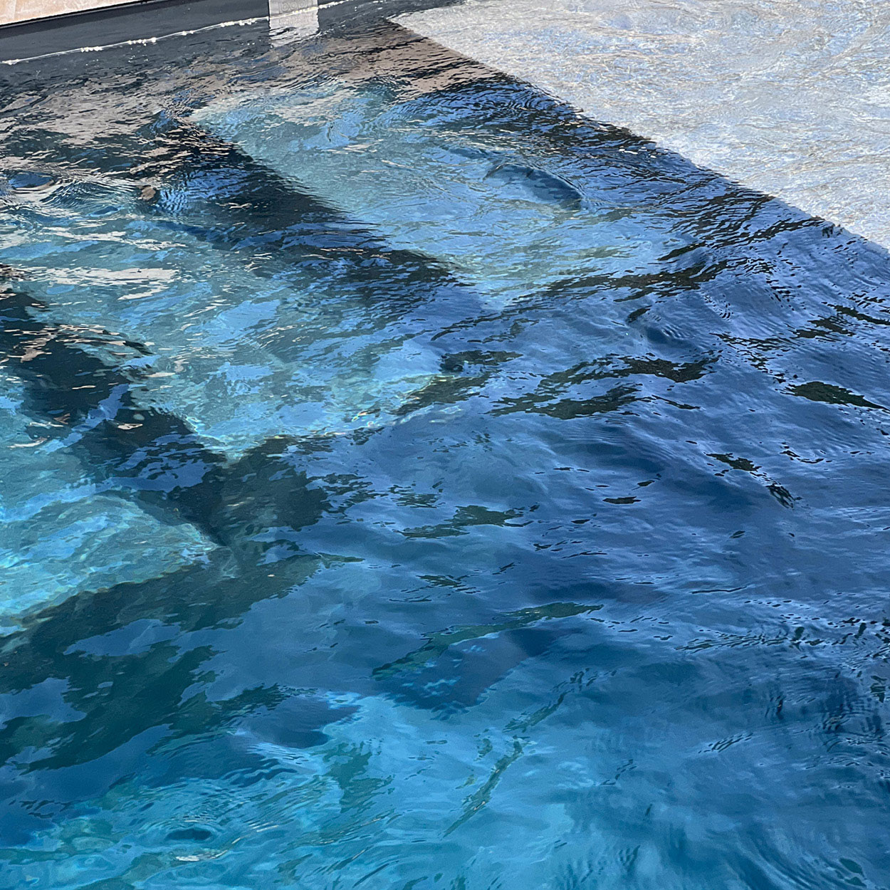 Piscine coque élégante et moderne avec eau cristalline, intégrée dans un jardin luxuriant. Design unique avec escaliers intégrés et bordures en matériaux durables, idéale pour baignade et détente en famille.