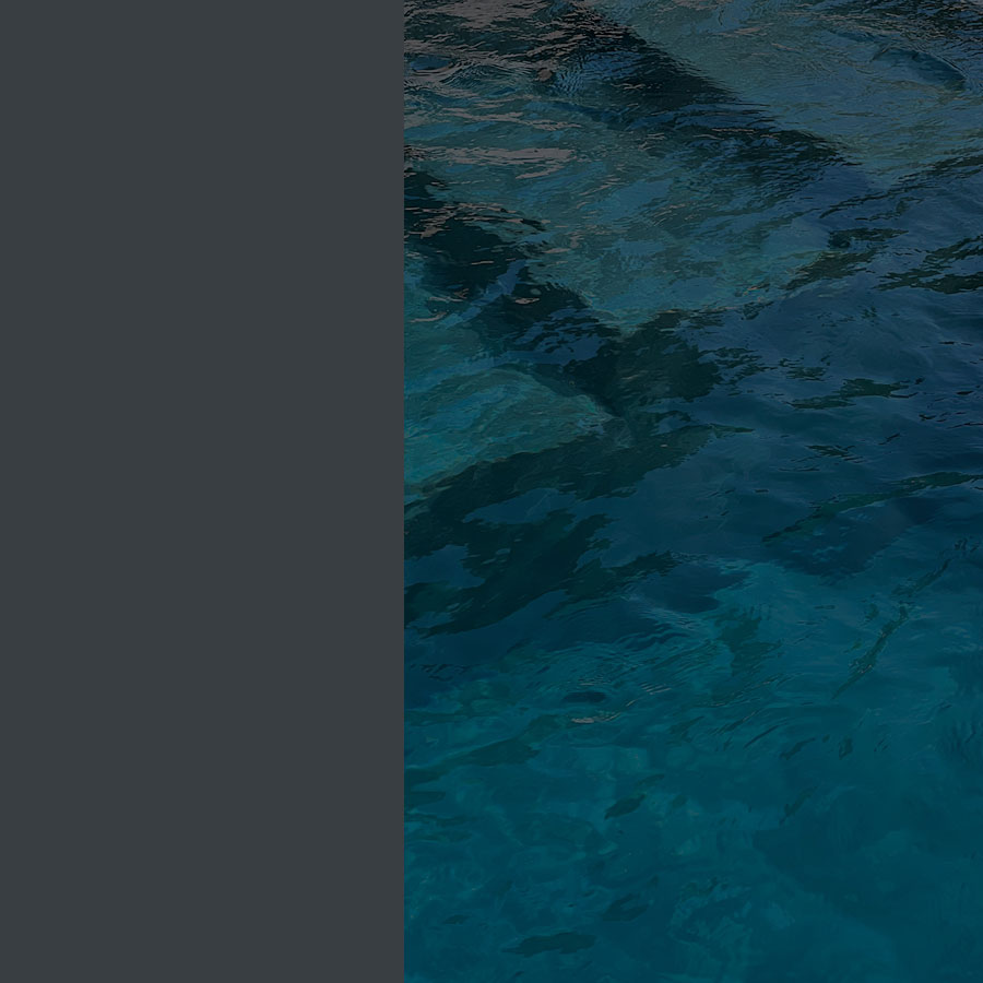 Piscine coque moderne avec eau cristalline entourée de verdure, reflétant la qualité et l'élégance d'une installation professionnelle dans un jardin résidentiel