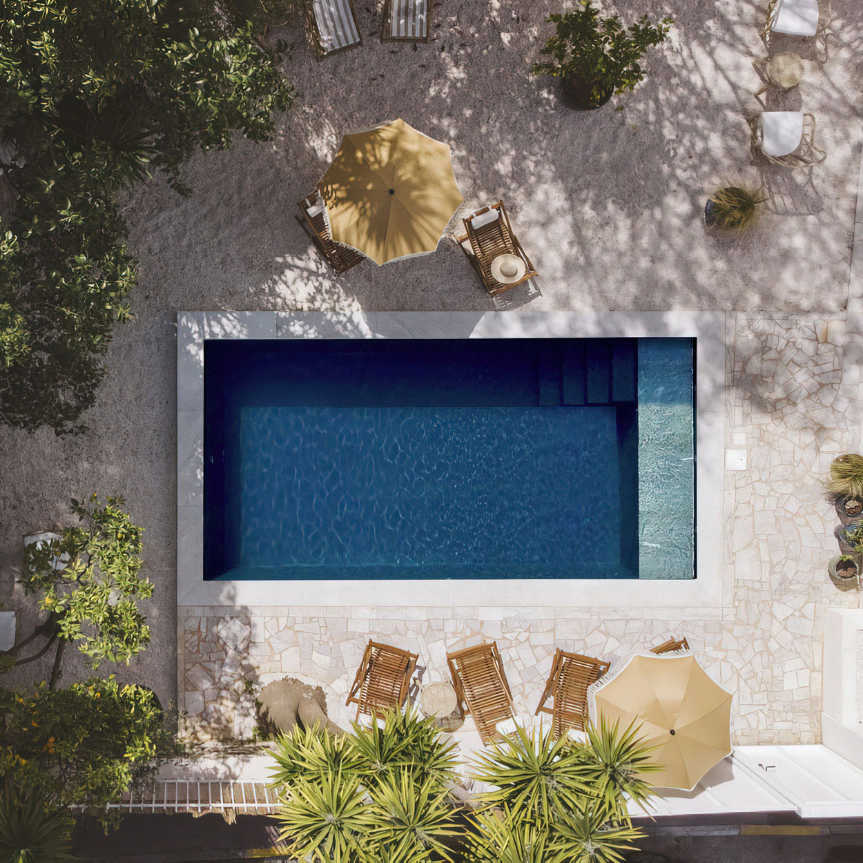 Piscine coque moderne rectangulaire avec eau bleue entourée d'une terrasse en pierre, chaises longues en bois, parasols beiges et végétation tropicale, créant un espace extérieur esthétique et accueillant pour détente et loisirs.